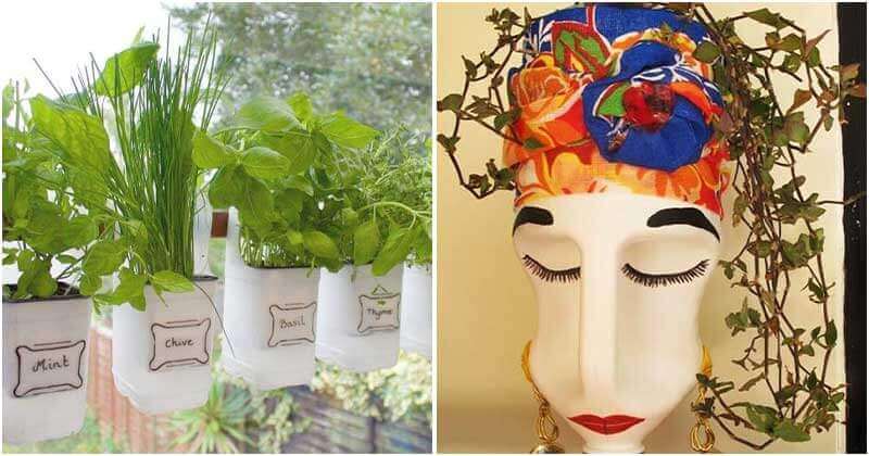 14 Best DIY Garden Projects With Plastic Milk Containers