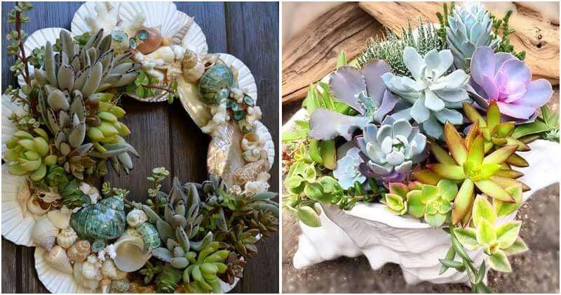 17 DIY Seashell Planter Ideas