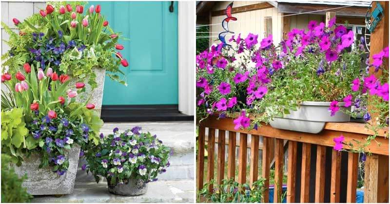 30 Charming Porch Planter Ideas