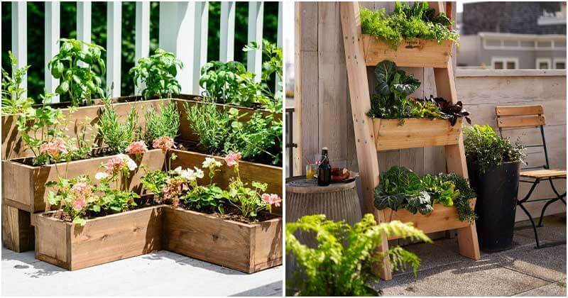 10 Best Ideas For Deck Vegetable Garden