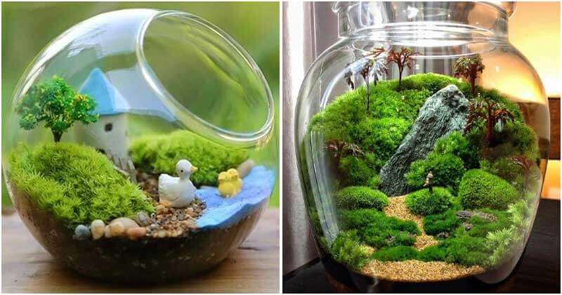 11 Indoor Moss Gardens To Decorate Your House