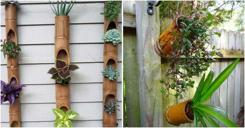 13 Beautiful DIY Bamboo Planter Ideas