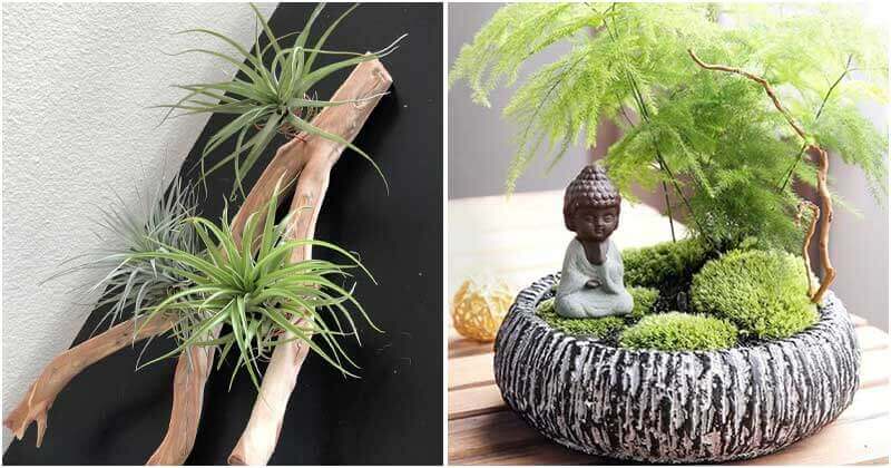 14 Great Tiny Garden Ideas To Place On Your Tabletop