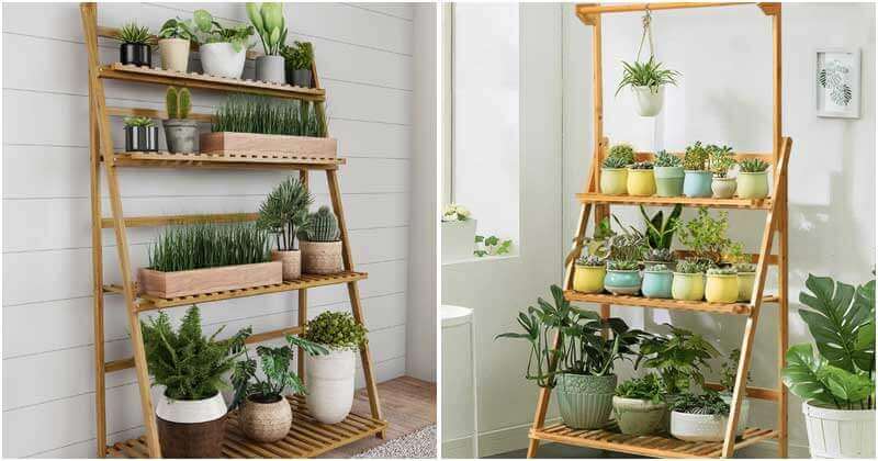 15 Impressive Indoor Ladder Planter Ideas For Your House