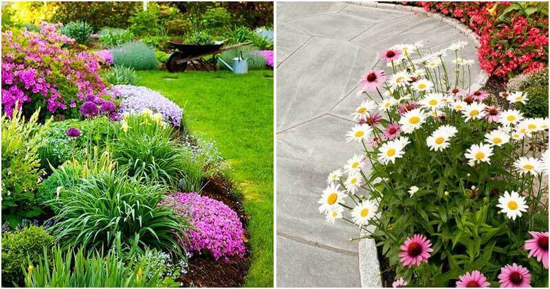 15 Pretty Garden Edging Ideas With Flowers