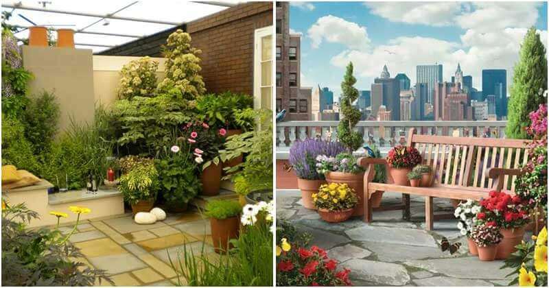 17 Beautiful Terrace Garden Designs
