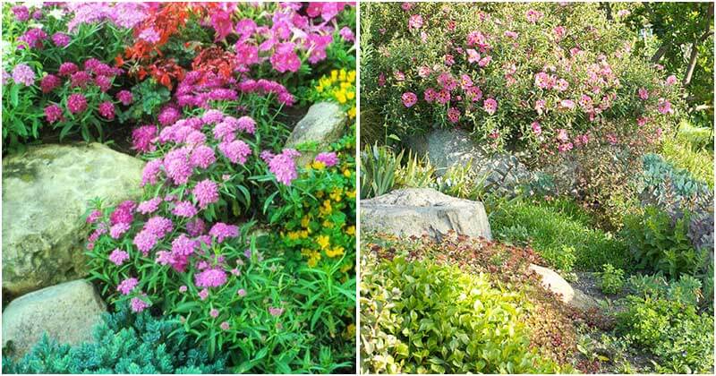 17 Rock Design Ideas For Your Garden