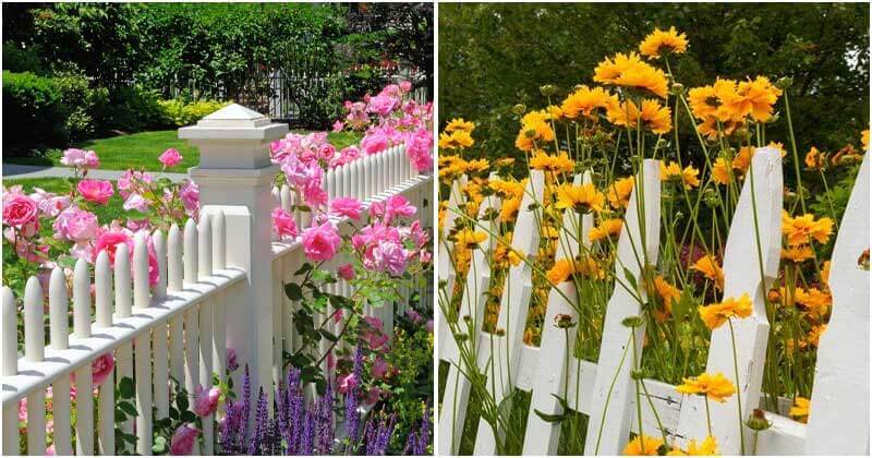 18 Gorgeous White Fence Landscaping Ideas