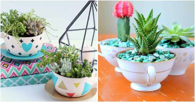 26 Enchanting Teacup Mini Garden Projects