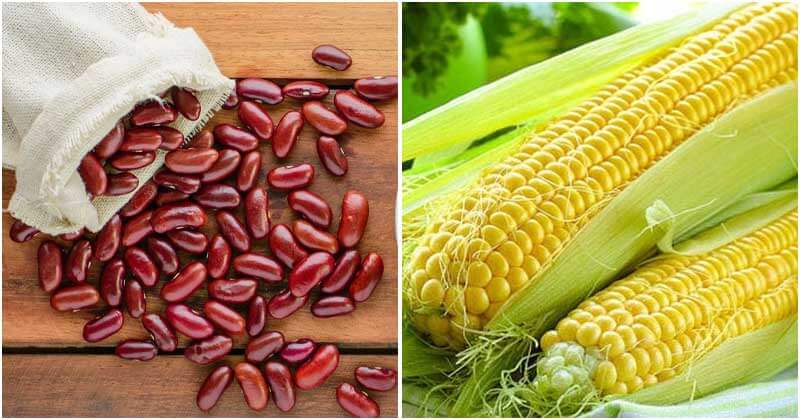 Best High Protein Vegetables That You Should Know
