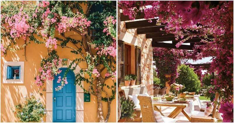 Flower Decorating Ideas For Outside Space Of Your House