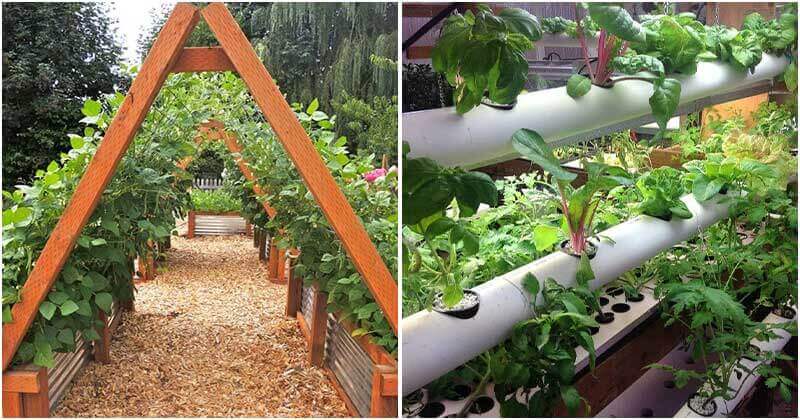 10 Vertical Gardening Bed Ideas To Grow Your Favorite Veggies