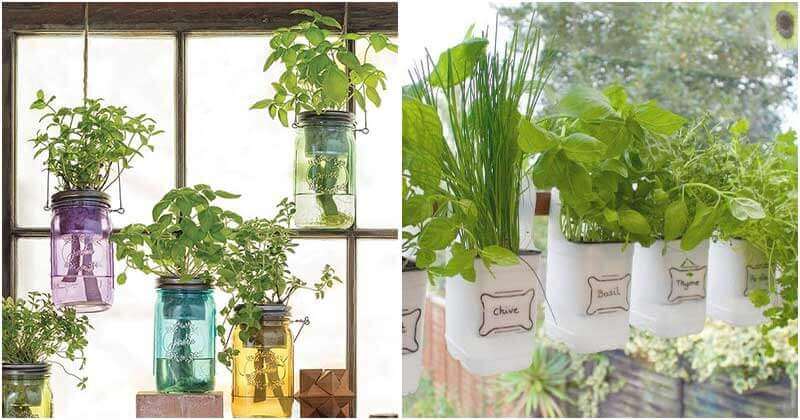 12 Ideas To Make Mini Gardens For Your Window
