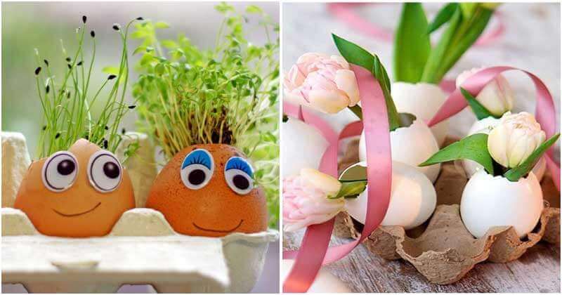 13 Cool DIY Eggshell Planters