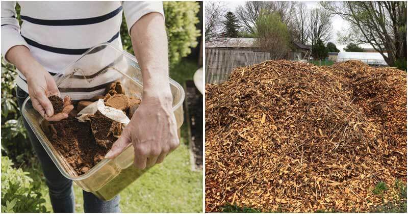19 Types Of Mulch For Your Garden