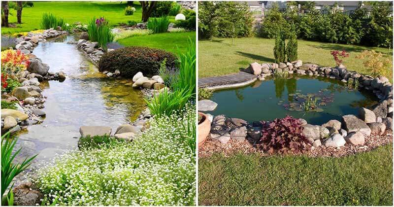 21 Impressive Water Garden Ideas