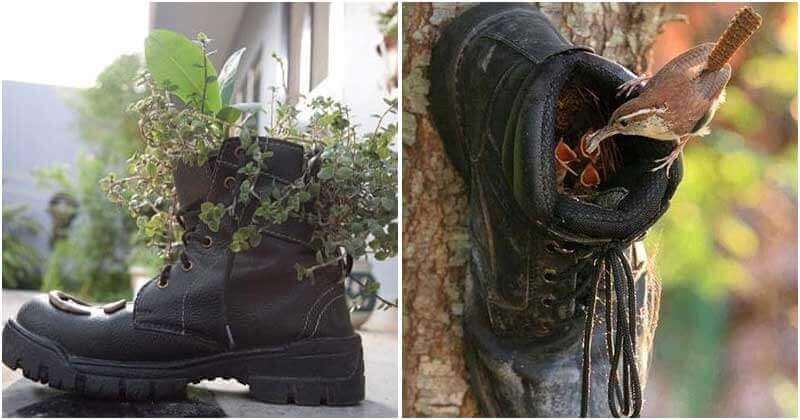 7 Old Shoe Hacks In The Garden