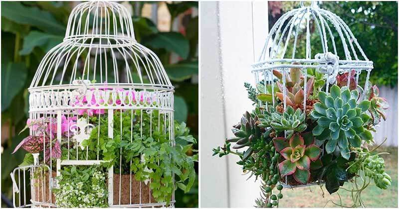 9 Cute DIY Bird Cage Planter Ideas In The Garden