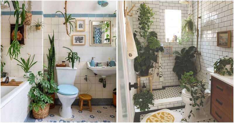 10 Beautiful Bathroom Vanity Plant Ideas