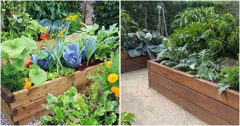 10 Benefits Of Raised Garden Beds