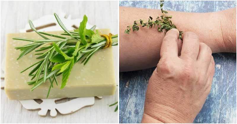 10 Best Uses Of Thyme