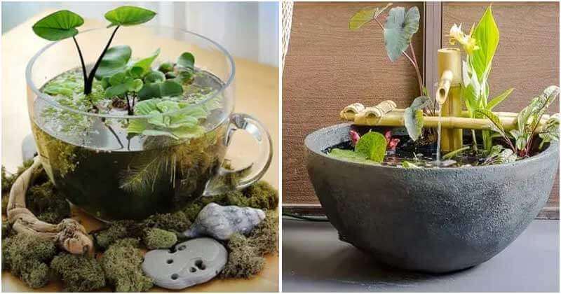 10 Creative DIY Tabletop Water Garden Ideas