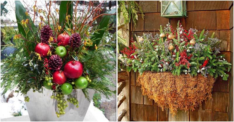 10 Stunning Winter Container Garden Ideas