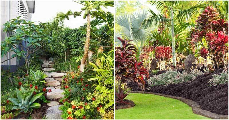 13 Impressive Tropical Garden Design Ideas