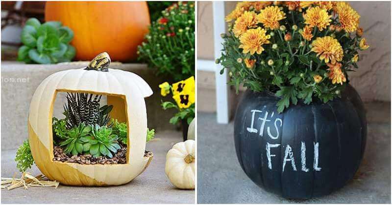 14 Amazing DIY Pumpkin Flower Planter Ideas For Your Fall