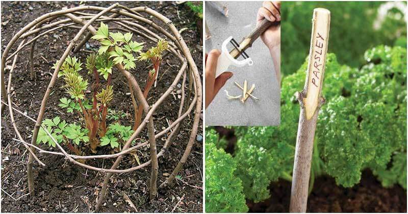 16 Cheap Garden Ideas That Used With Sticks and Twigs