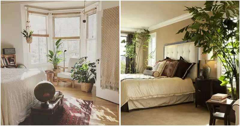 18 House Plant Garden Ideas To Place In Bedroom Window