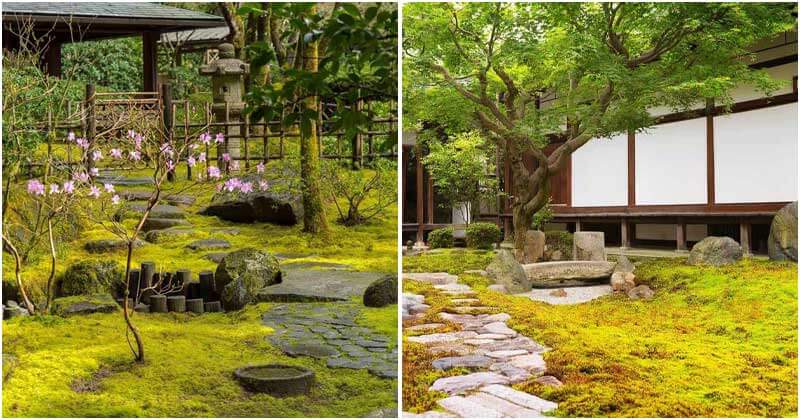 22 Amazing Landscaping Ideas With Moss Rocks
