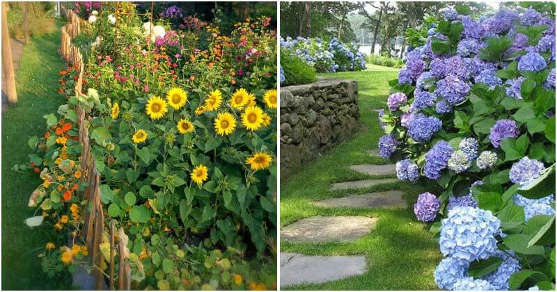 24 Gorgeous Colorful Flower Garden Ideas