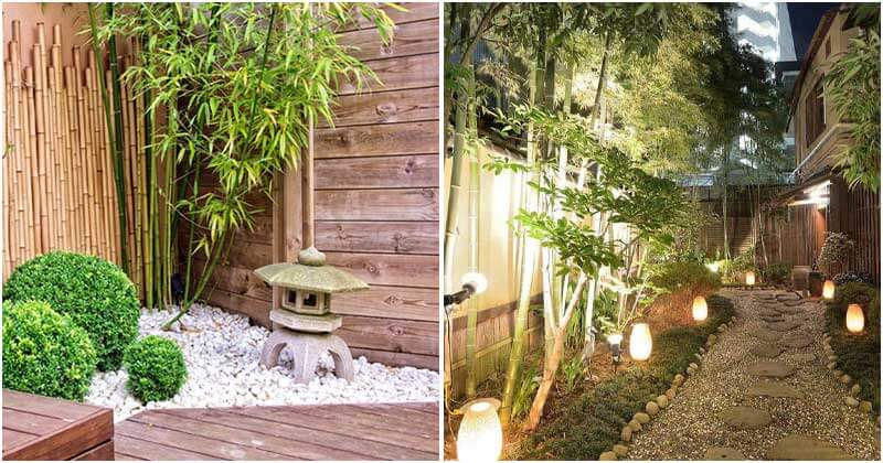 26 Beautiful Bamboo Landscaping Ideas
