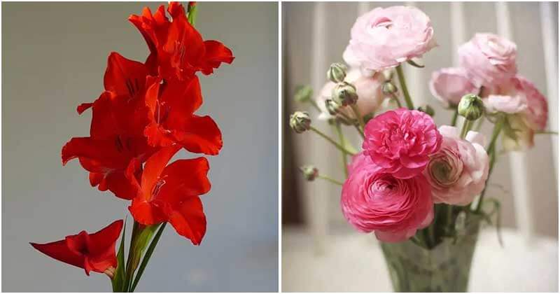 30 Best Beautiful Varieties For Cut Flowers