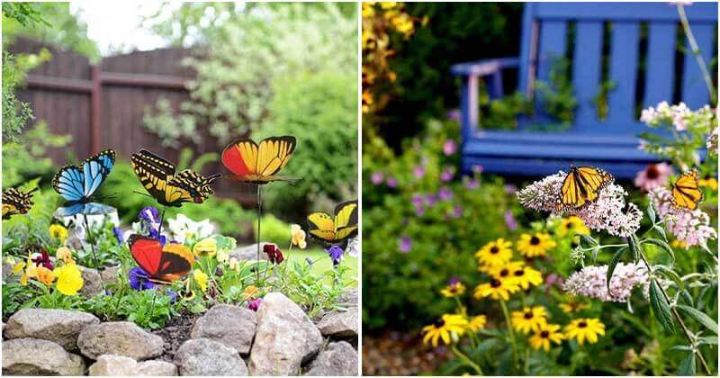15 Easy and Beautiful Butterfly Garden Ideas