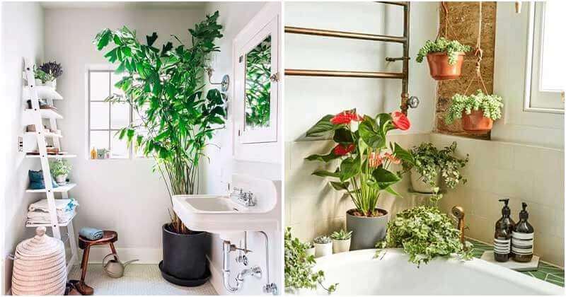 16 Impressive Bathroom Garden Ideas