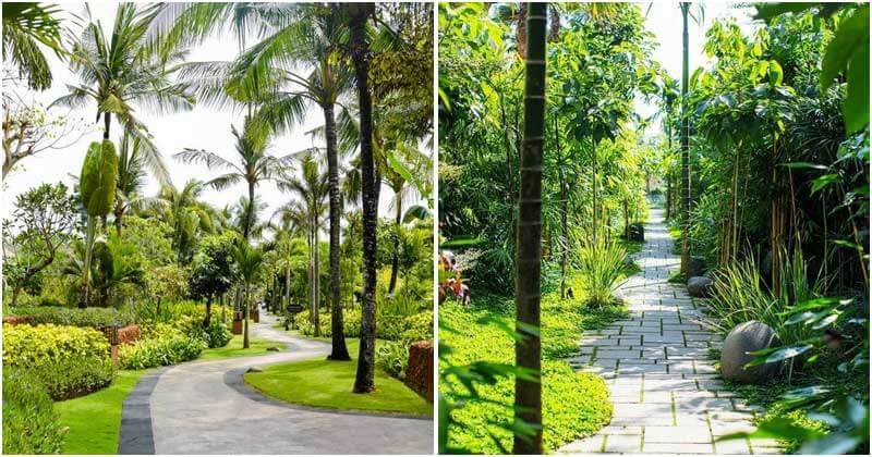 18 Tropical Garden Pathway Ideas