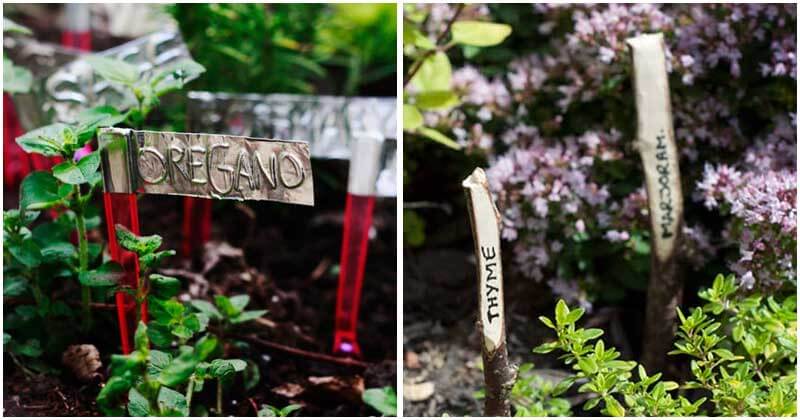 23 Fantastic DIY Garden Markers You Should Try