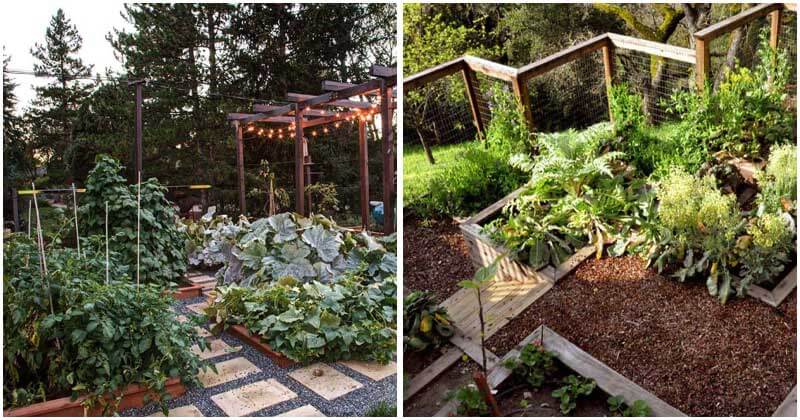 25 Brilliant Ideas To Your Turn Backyard Into Vegetable Garden