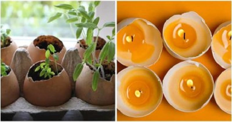 30 Amazing Uses Of Egg Shells You Should Read
