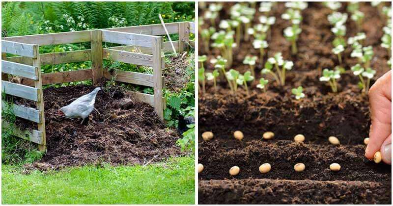 8 Gardening Supplies That Are At No Expense