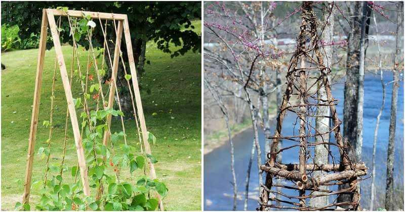 Easy DIY Garden Trellis Projects For Your Garden