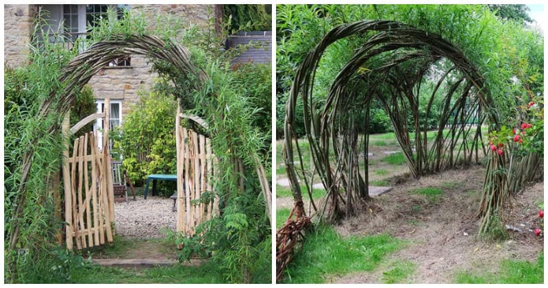 15 Ideas For Awesome Living Willow Structures