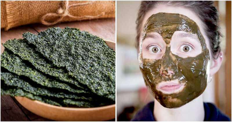 10 Amazing Things You Can Do with Seaweed