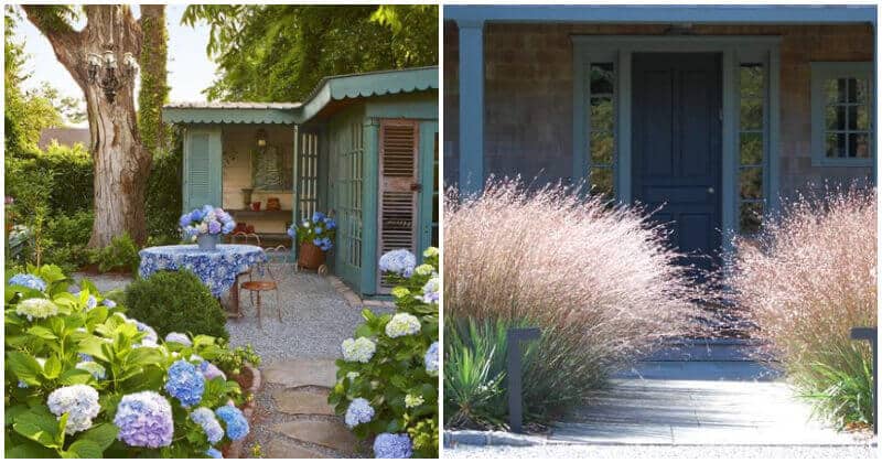 15 Best Beautiful Plants for Your Front Door Entryway
