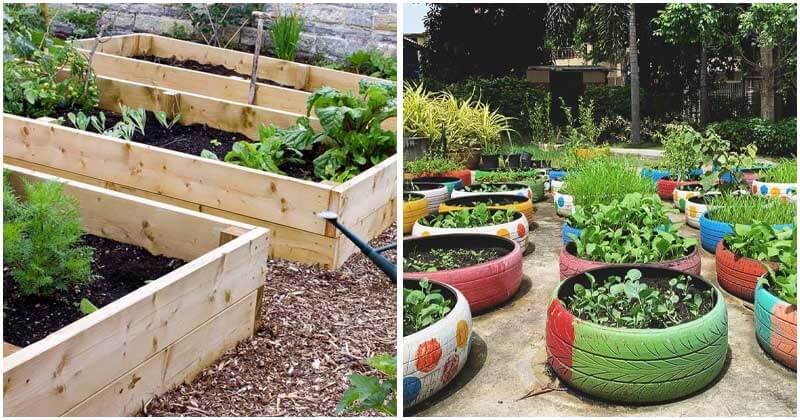 20 Beautiful Raised Bed Gardens For DIY Projects