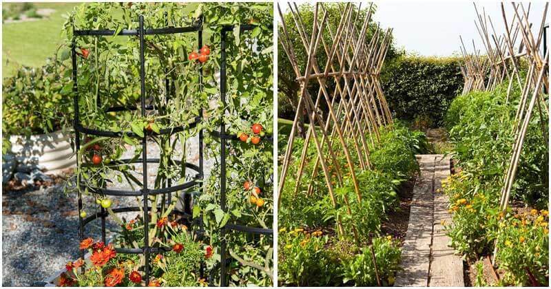 20 Best Ideas For DIY Garden Trellis