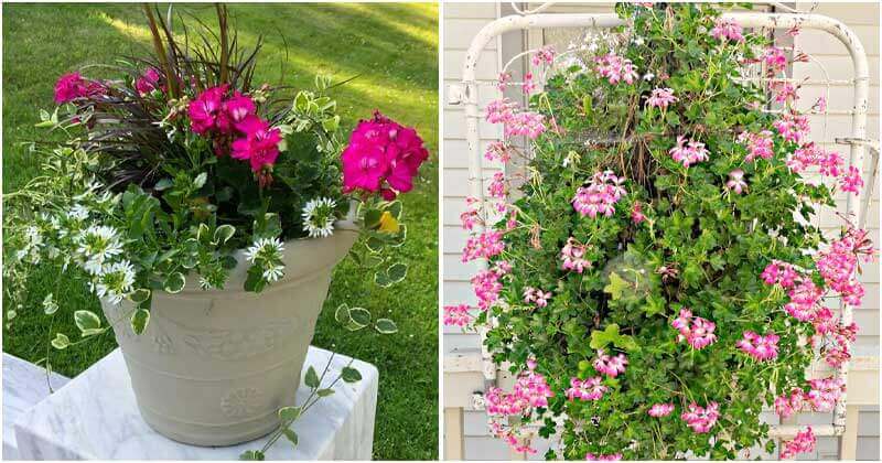 25 Beautiful and Creative Spring Garden Ideas