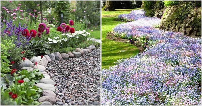 Stunning Garden Border Ideas